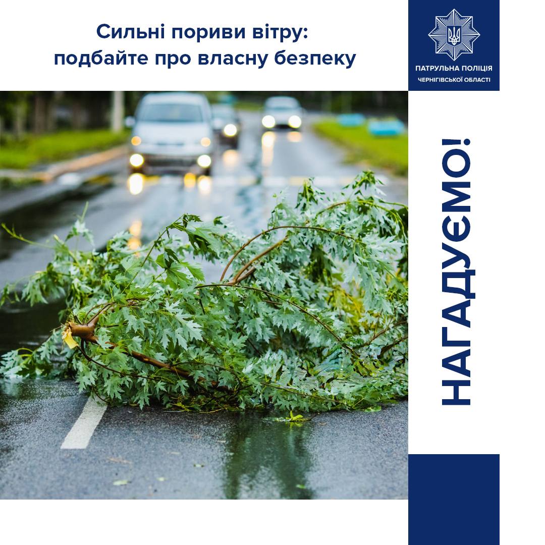 Сильні пориви вітру в Чернігові: поради щодо безпеки