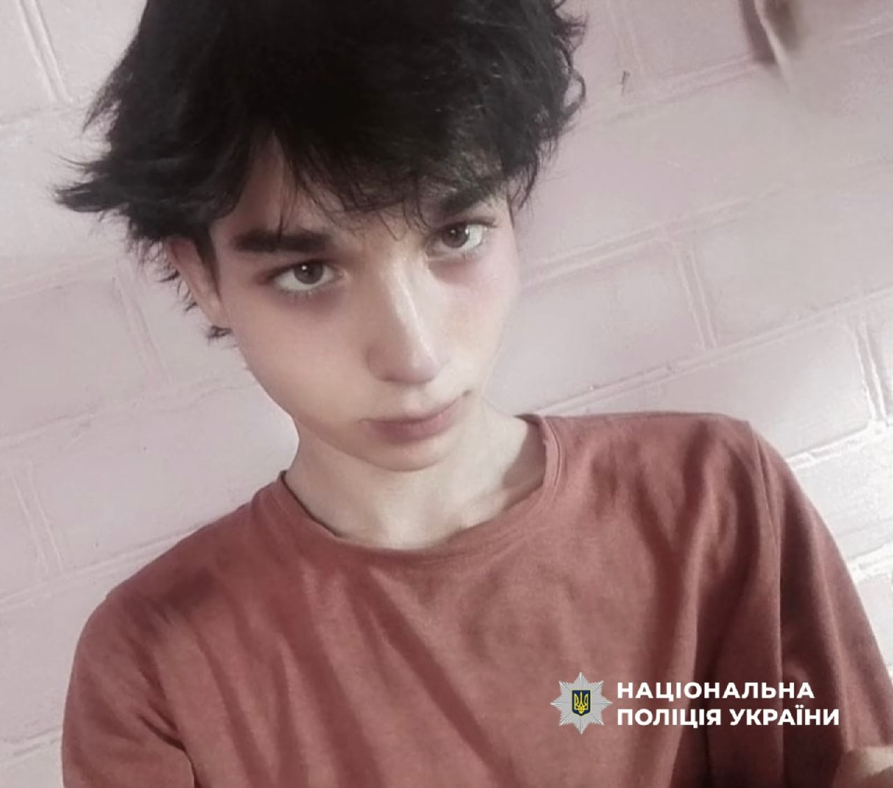 Поліція Чернігівщини розшукує зниклого 17-річного підлітка