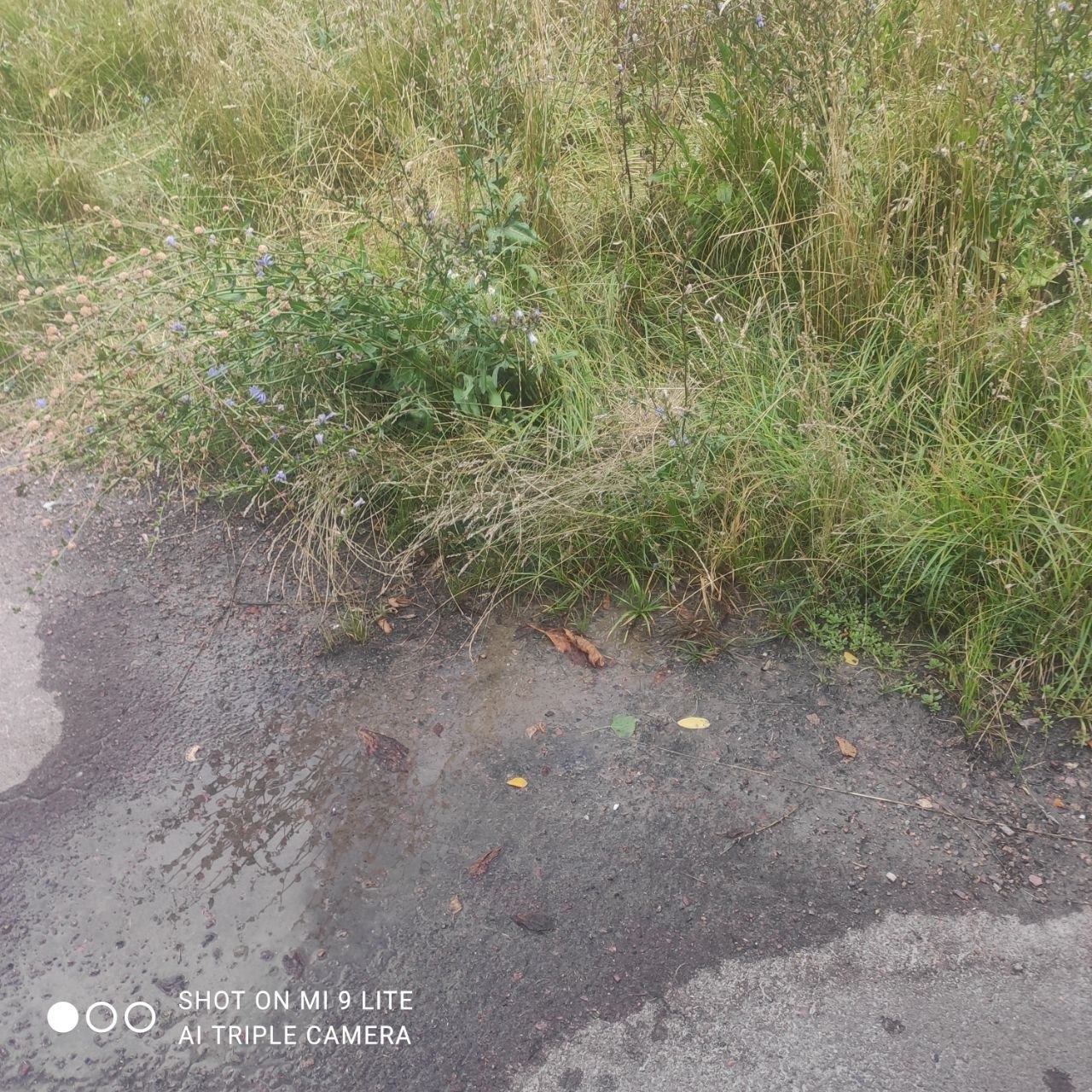 Emergency water supply shutdown on Veren Street and Bohdan Khmelnytskyi Lane