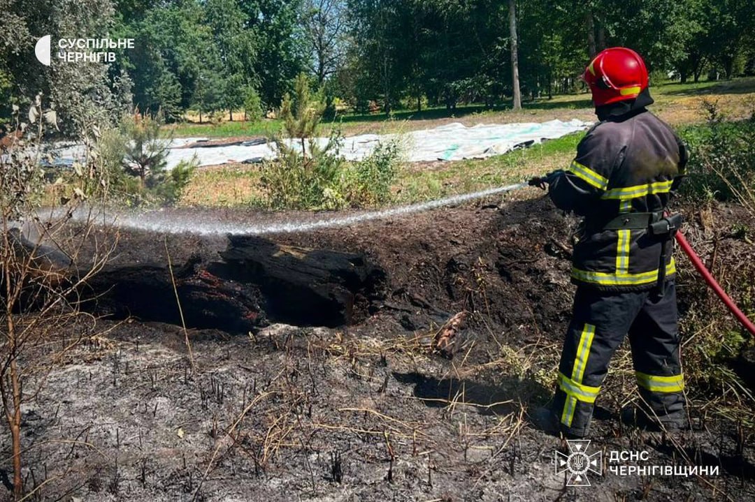 Пожежі на Чернігівщині: троє постраждалих з опіками, один загинув